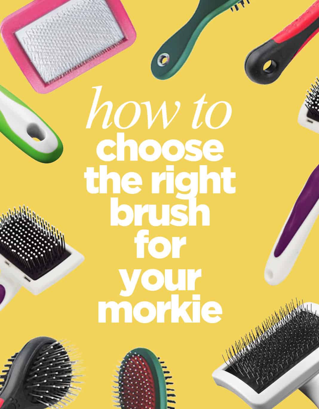 Right Brush For Your Morkie