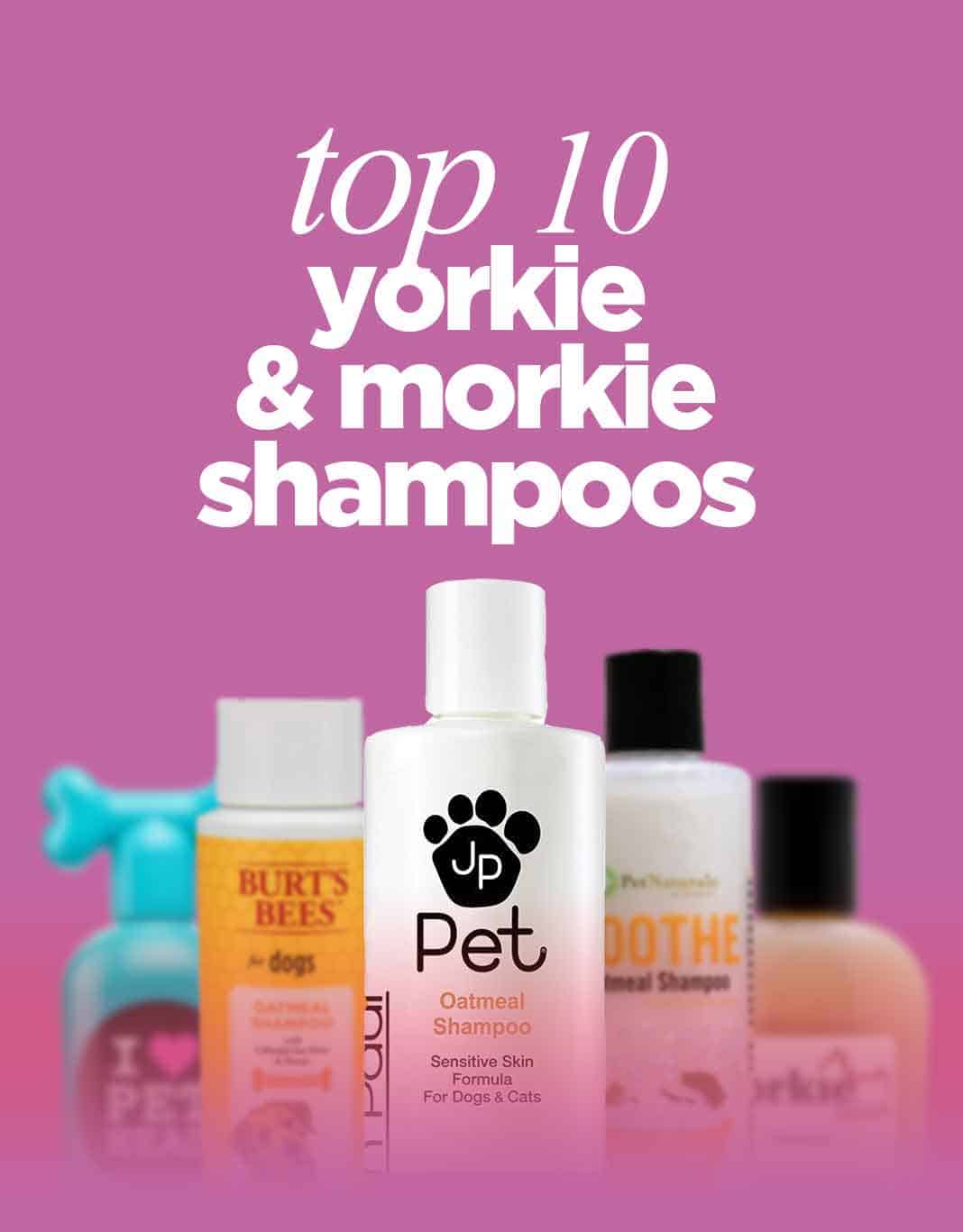 Top 10 Best Yorkie \u0026 Morkie Shampoos 